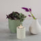 Waxinelichthouder Jula beige