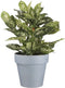 Mica Decorations Orion Bloempot voor Buiten - H34 x Ø36 cm - Plantenvezels - Lichtblauw