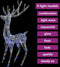 vidaXL - Kerstdecoratie - rendier - 250 - LED's - meerkleurig - 180 - cm - acryl