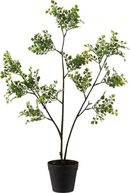 J-Line plant Leervaren In Pot - kunststof - groen - small