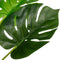 WOOOD Monstera Kunstplant - Groen - 70x70x70
