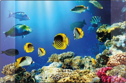 Kangaro bureau onderlegger - 38x58cm - Aquarium - antislip - met insteekvakken - K-0014D115