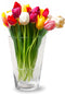 Jodeco Bloemenvaas Nina - helder transparant - glas - 20 x 28 cm - klassieke vorm vaas