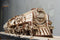 Ugears Houten Modelbouw - V-Express Stoomtrein met Tender