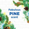 WC Eend Toiletblok Pine Fresh 40 GR