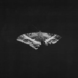 Kendrick Lamar - To Pimp A Butterfly - 10th Anniversary Edition (2 LP)