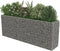 vidaXL - Gabion - plantenbak - verhoogd - 270x50x100 - cm - gegalvaniseerd - staal