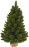 Triumph Tree Kunstkerstboom Camden - 58x58x90 cm - Pvc/hardnaald - Groen