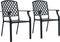 vidaXL - Tuinstoelen - stapelbaar - 2 - st - staal - antraciet