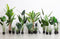 WOOOD Strelitzia Kunstplant - Groen - 61x108x50