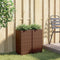 vidaXL - Plantenbakken - 2 - st - 30x30x60 - cm - poly - rattan - bruin