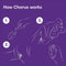 WE-VIBE Chorus Paar-Vibrator voor clitoris- en G-spotstimulatie met Squeeze Remote, opzetvibrator voor haar en hem, 100% waterdicht, haptische afstandsbediening, app-bediening