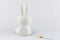 Mr Maria - Nijntje Star Light - 50 cm - LED lamp - dimbaar - Wit