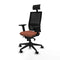 Bureaustoel met hoofdsteun Piqueras y Crespo 2D066N1 Bruin