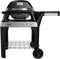 Weber Pulse 2000 Barbecue Verrijdbaar Electrisch Zwart, Zilver 2200 W