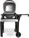 Weber Pulse 2000 Barbecue Verrijdbaar Electrisch Zwart, Zilver 2200 W