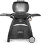 Weber - Q 3000, Black, Station