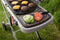 Weber Traveler - Gasbarbecue - Zwart