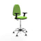 Piqueras y Crespo B2D05RT - Bureaustoel - Hoogteverstelbaar met armleuning - Pistache