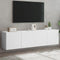 vidaXL - Tv-meubels - 2 - st - wandgemonteerd - 80x30x41 - cm - wit