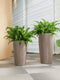 LECHUZA RONDO PREMIUM 40 - Plantenbak - met uitneembare binnenbak - met bewateringssysteem - ALL-IN-ONE set met LECHUZA-PON - taupe hoogglans