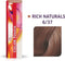 Wella Professionals Color Touch - Haarverf - 6/37 Rich Naturals - 60ml