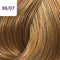 Wella Professionals Color Touch Plus - Haarverf - 88/07 - 60ml
