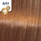 Wella Professionals Koleston Perfect Me+ - Haarverf - 8/43 Vibrant Reds - 60ml