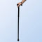 Wellys Foldable Walking Stick with Bag
