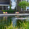 Weltevree | Beach Rocker | Schommelstoel Strand, Tuinstoel, Strandstoel Opvouwbaar, Campingstoel | Beukenhout & Organisch Katoen | Geel/Groen