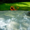 Weltevree | Dutchtub Original | Hottub Houtgestookt | Jacuzzi, Zwembad, Bad Voor Buiten | Olijfgroen RAL 6011 | Polyester | Hottub voor Buiten | 600 Liter