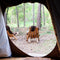 Weltevree | Fieldchair | Design Loungestoel Fauteuil | Naturel