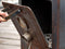 Weltevree | Outdooroven Door | Deur voor Outdooroven