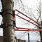 Weltevree | Swing | Schommel, Boomschommel, Tuinschommel Aanbouwschommel met Spanbanden | 100 kg Draagvermogen | Staal