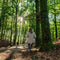 Weltevree | Swing | Schommel, Boomschommel, Tuinschommel Aanbouwschommel met Spanbanden | 100 kg Draagvermogen | Staal