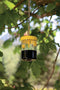 Wespen val - Wasp Trap