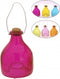 Wespenval Glas 13x9cm 6 Ass. Kleur