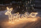 Westfalia Buitenverlichting - Rendier met slee - Warm wit