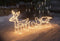 Westfalia Buitenverlichting - Rendier met slee - Warm wit
