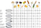 Westmark Pro Technicus Handrasp - RVS - 32 cm