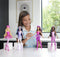 Barbie Onthul Balletdansers Serie Pop Roze