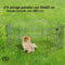 Brixy Puppyren - Hondenren - 8 Panelen - 60 x 60 CM - 480 CM Omtrek - Opvouwbaar - Met Deur - Zwart