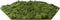 Hexagon wandtegel | Moswand | Licht groen | Zelfklevend | ↑21CM - 24CM