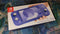 Nintendo Switch Lite - Handheld - 32GB - Blauw