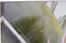 Schilderij Dkd Home Decor Tropisch 90 X 3 X 190 Cm (3 Stuks)