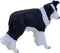 Mojo Farmland Border Collie - 387203