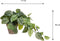 Mica Decorations Scindapsus - Kunstplant in Bloempot - H44 x Ø17 cm - Groen