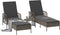 vidaXL - Ligbedden - 2 - stuks - met - Kussens - en - Tafel - Grijs - Poly - Rattan
