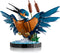 LEGO Icons - 10331 - IJsvogel model met beweegbare kop en poten - 834 onderdelen