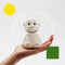 Bundle of Light - Aap